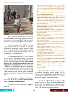 makale sayfa 2